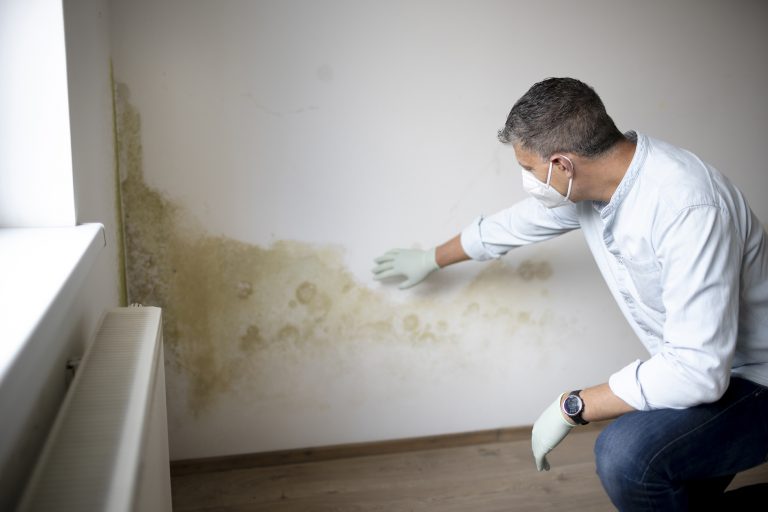 damp and mould prevention bournemouth