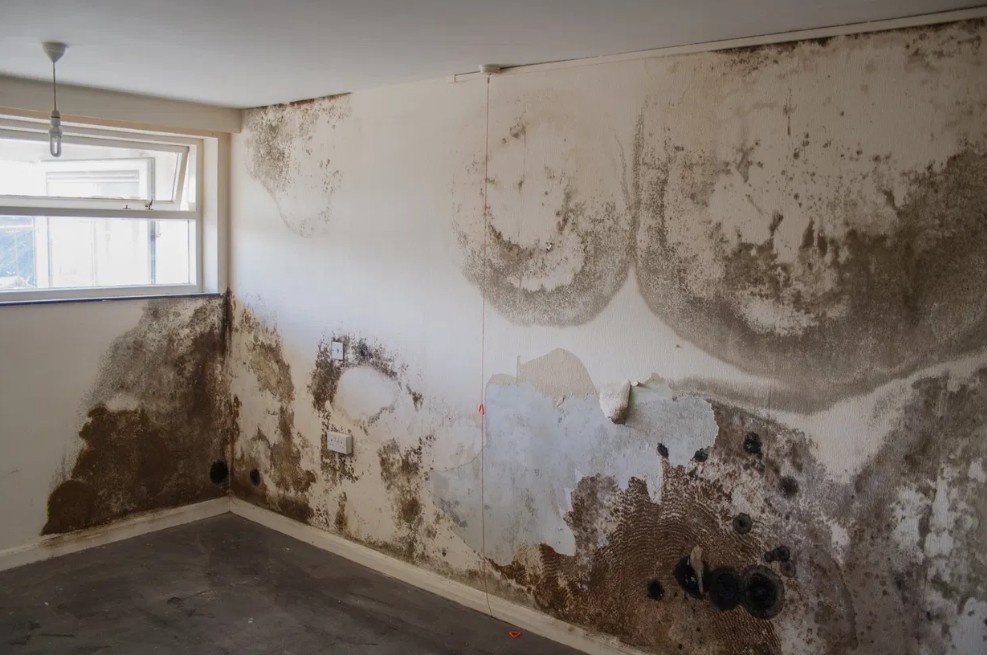 Penetrating damp staining across an internal wall
