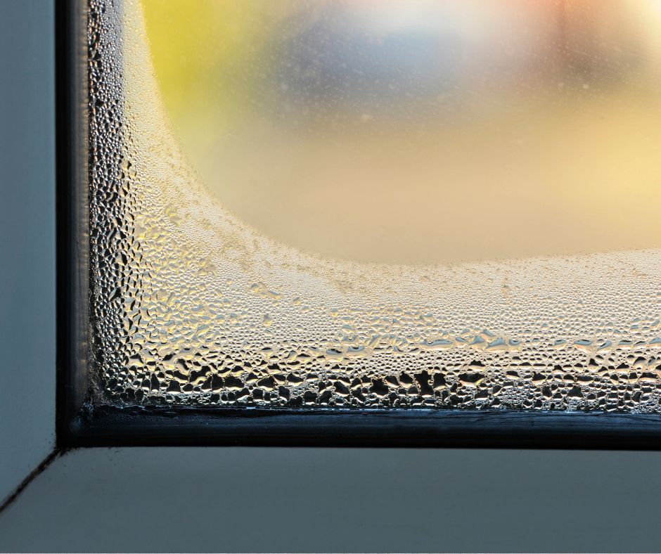 Condensation and moisture on a window