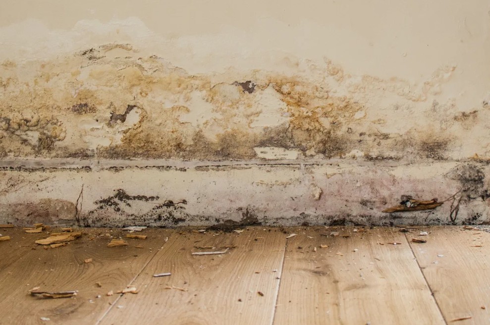 Damp and salt staining low on a wall beside a radiator